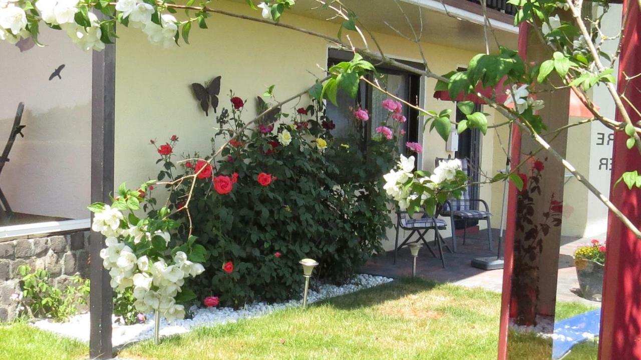 Ferienwohnung Panoramablick Шлайден Екстериор снимка